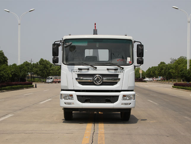 東風(fēng)D9國六車廂可卸式垃圾車圖片3